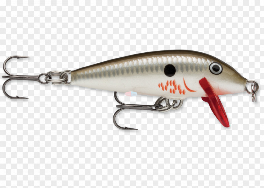 Fishing Rapala Baits & Lures Plug Surface Lure PNG