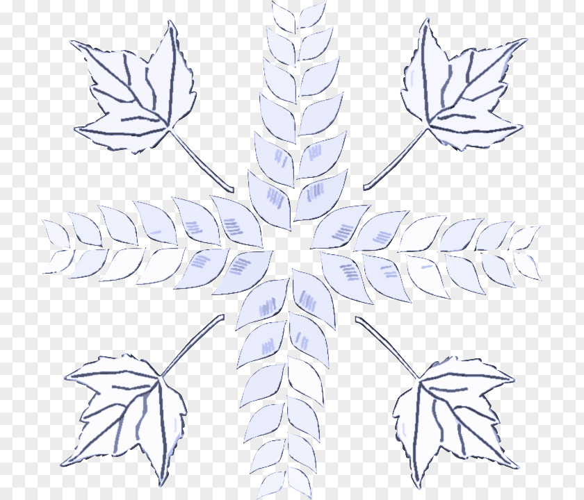 Pedicel Flower Leaf Plant Symmetry Stem Line Art PNG