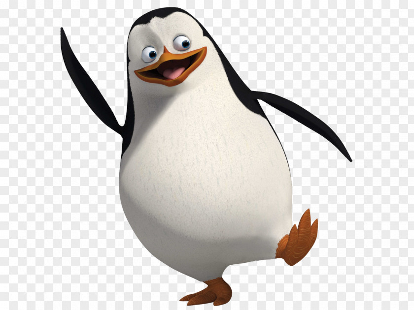 Sulley Penguin Madagascar Animation Drawing Film PNG
