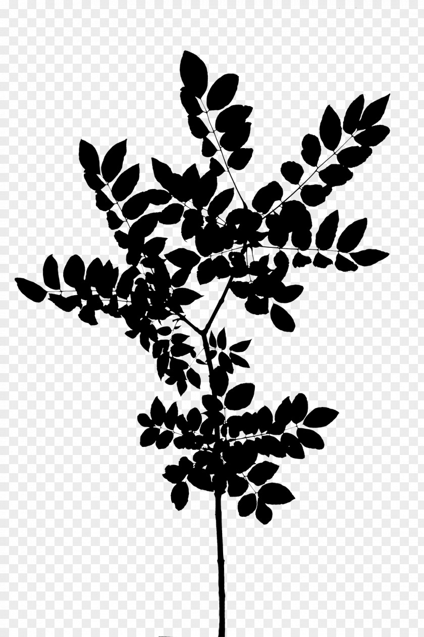 Twig Plant Stem Leaf Font Silhouette PNG