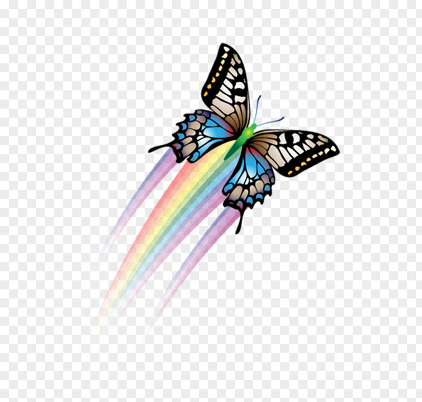 Colorful Butterfly Papillon Dog Software PNG