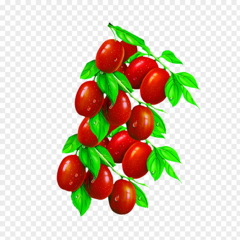 Dates Jujube Tea Barbados Cherry Food PNG