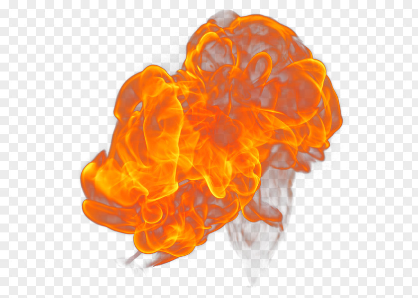 Fire Flame PhotoScape Clip Art PNG