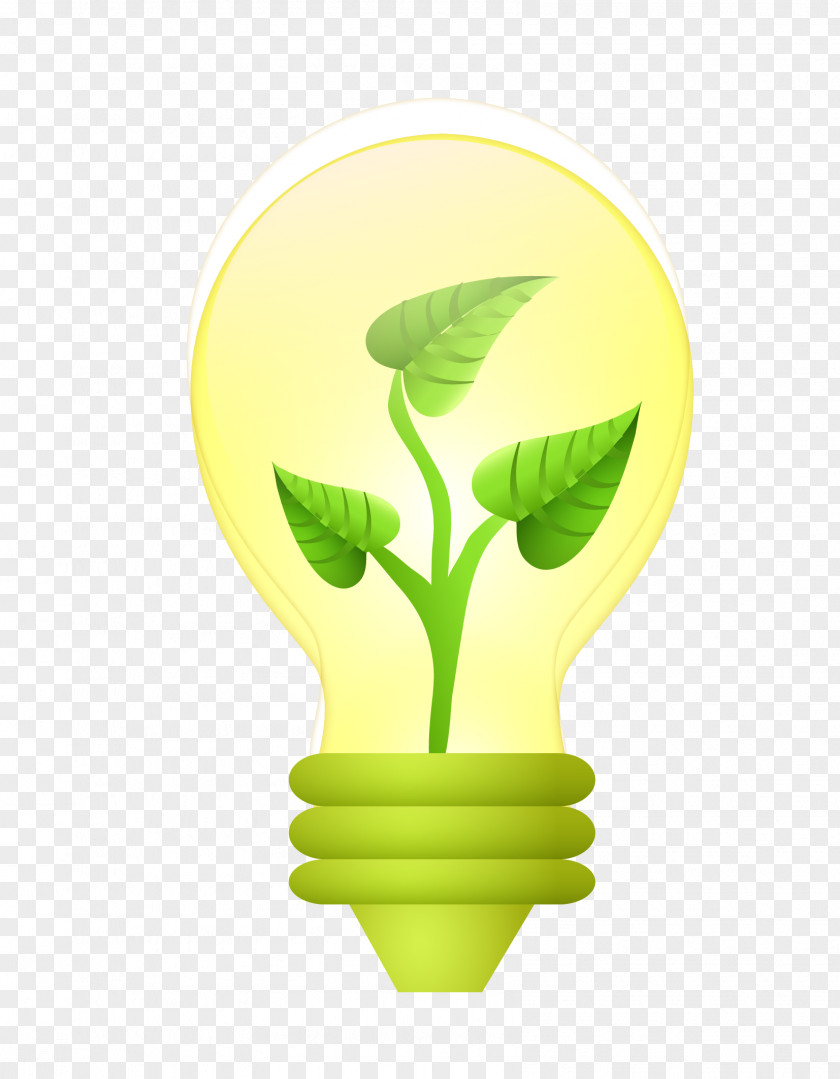 Plant Bulb Euclidean Vector Icon PNG