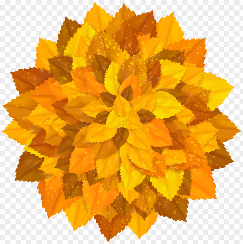 Round Decoration With Autumn Leaves Clipart Image PNG