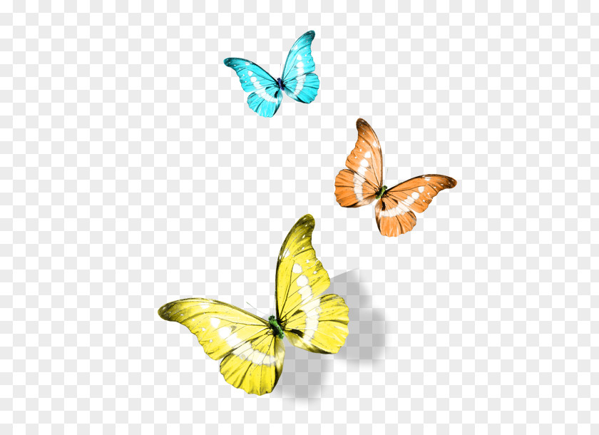Butterfly Monarch Cartoon PNG