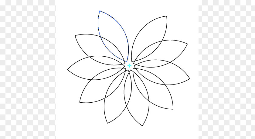 Flower Pettles Outlines Petal Drawing Clip Art PNG