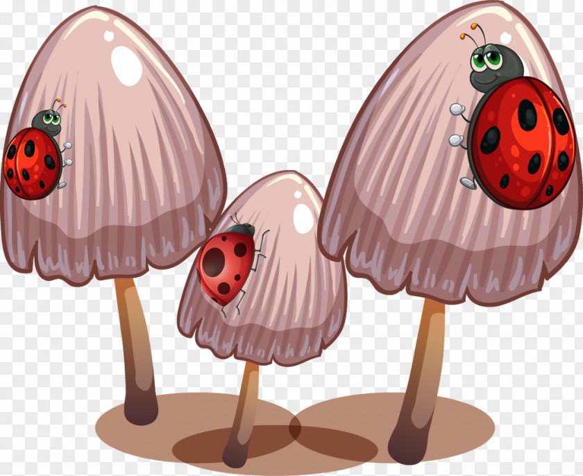 Tummy Mushroom Vector Graphics Image Illustration Food PNG