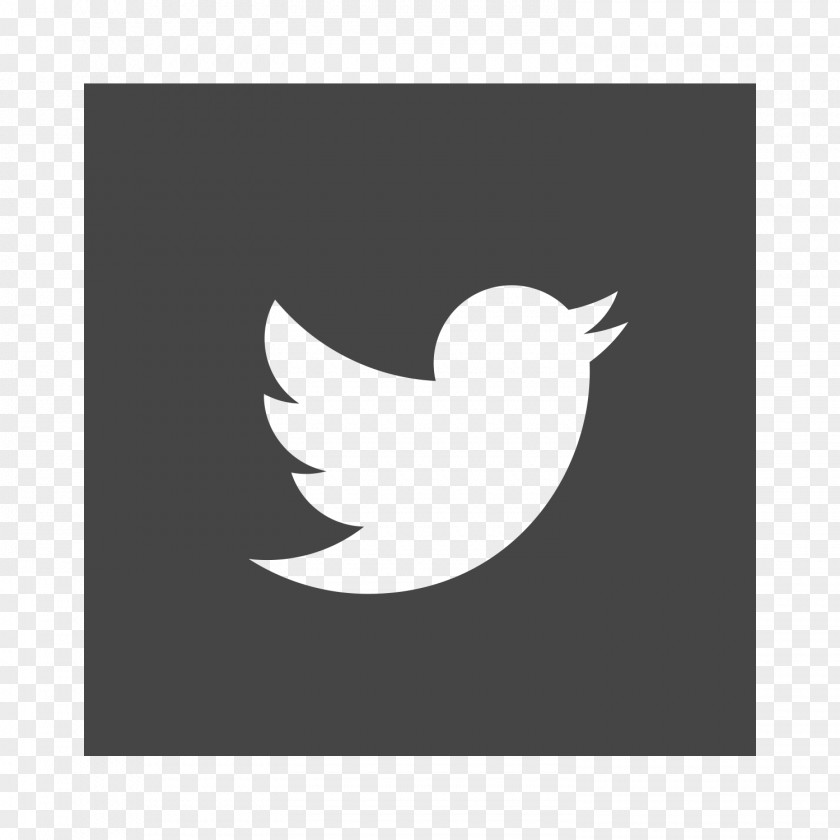Twitter Bird Social Media Desktop Wallpaper Symbol Logo PNG
