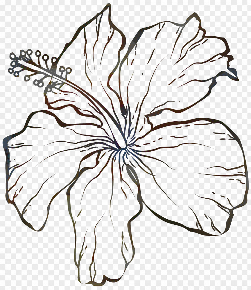 Wildflower Mallow Family Black And White Flower PNG