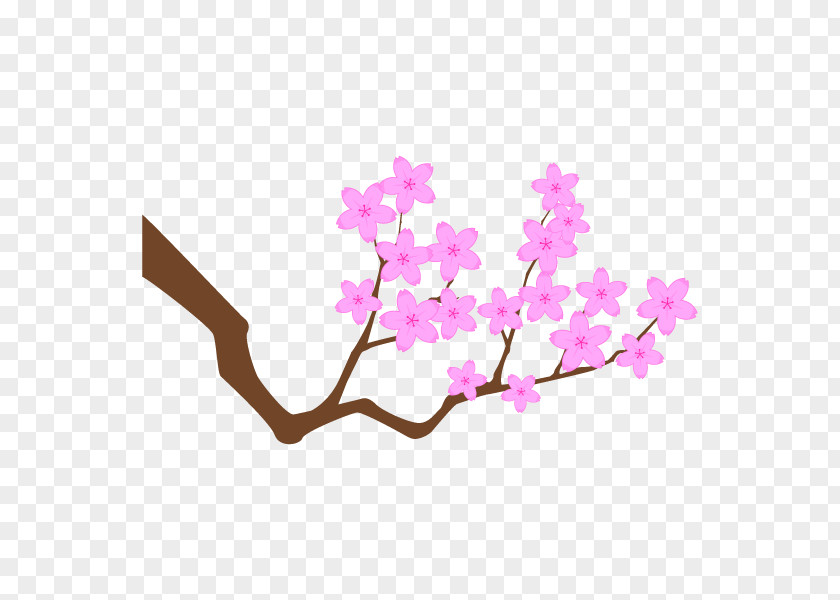 Cherry Blossom Japan Vector Graphics Image PNG