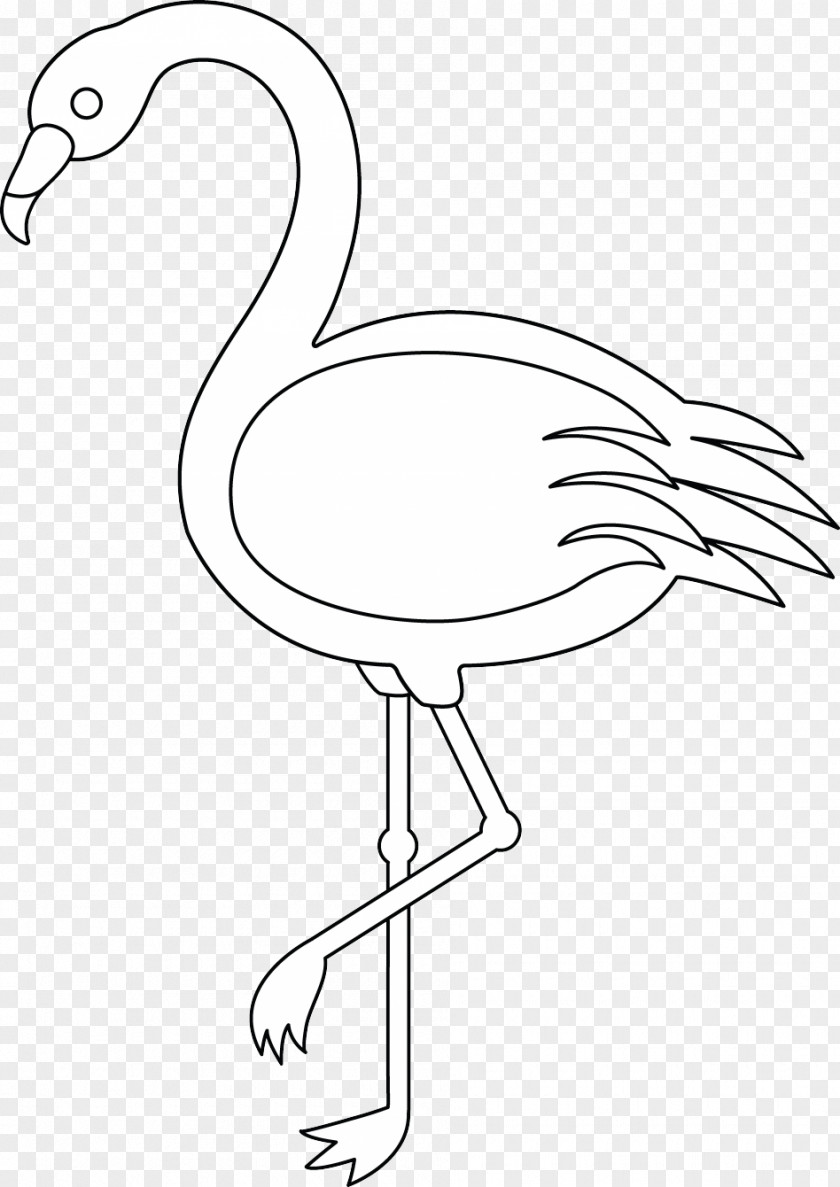 Flamingo Coloring Book Clip Art PNG