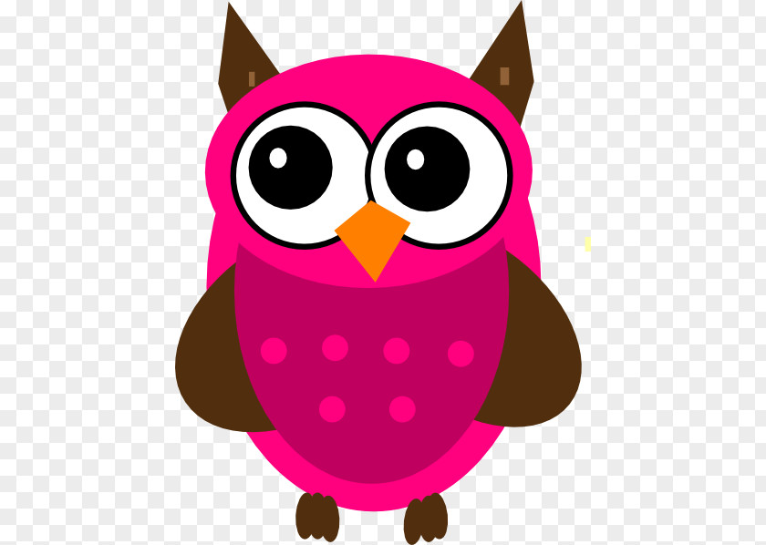Owl Drawing Bird Clip Art PNG