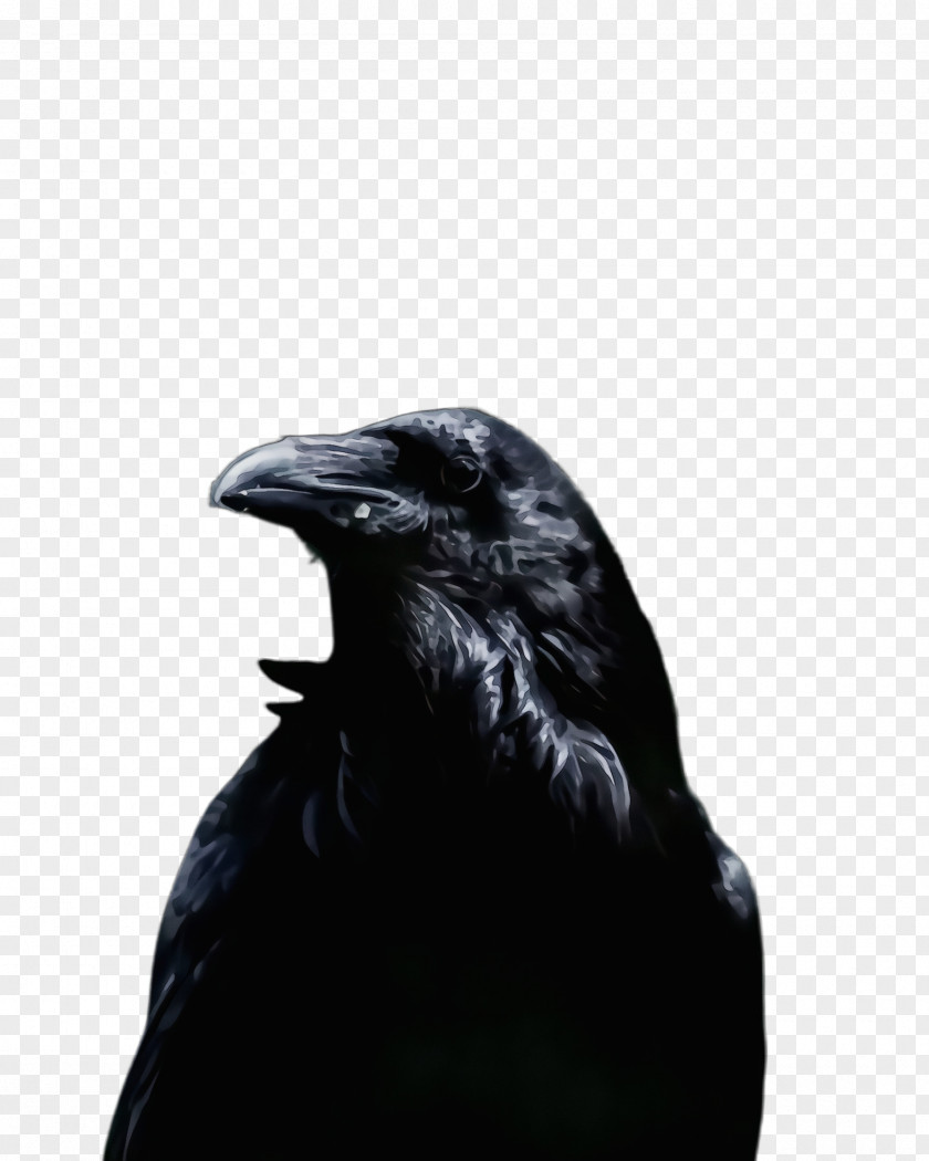 Perching Bird Neck Feather PNG