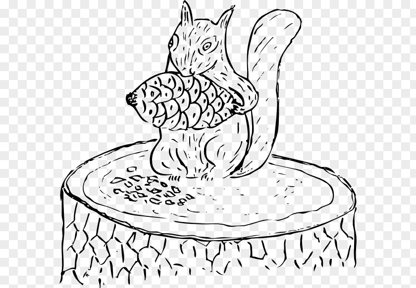Squirrel Cartoon Vector Conifer Cone Longleaf Pine Coulter Balsam Fir Clip Art PNG