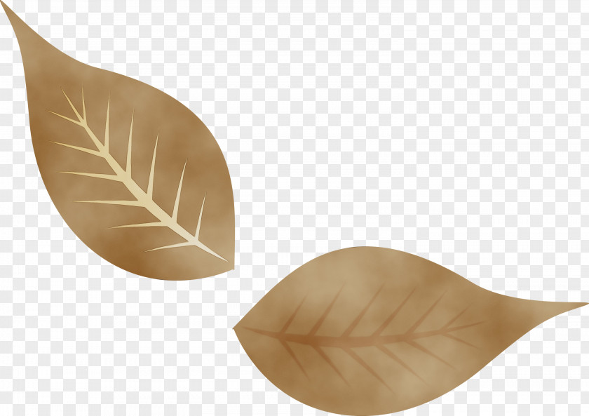 Tableware PNG