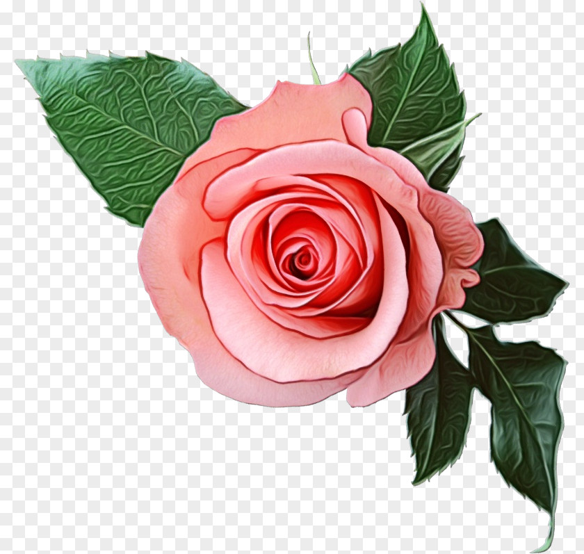 Artificial Flower China Rose Guns N Roses Logo PNG