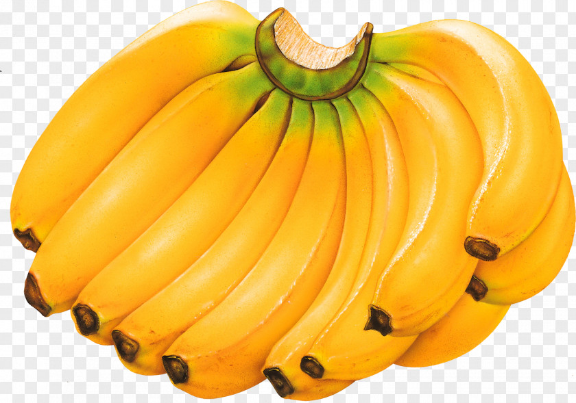 Banana Cavendish Tropical Fruit Food PNG