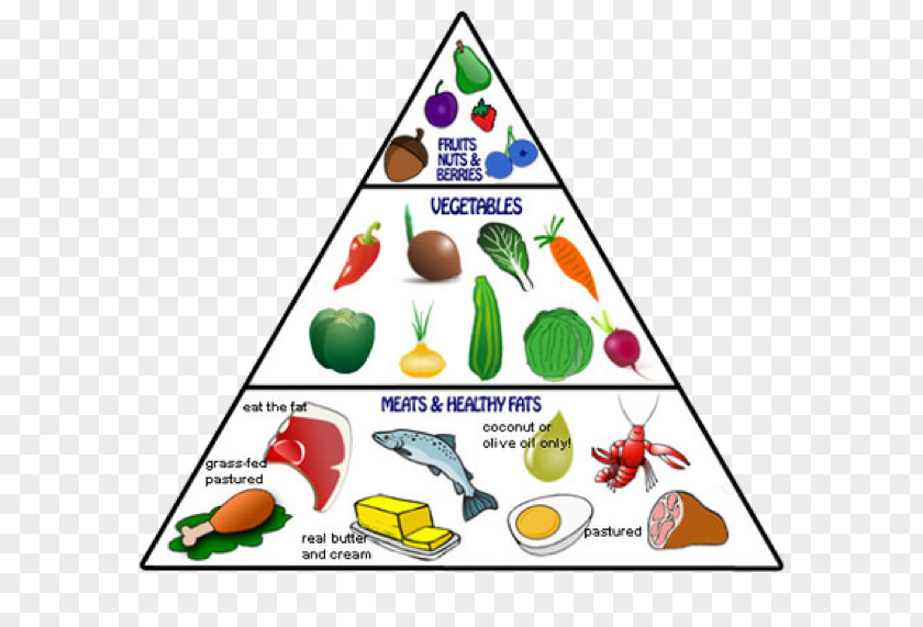 Health Paleolithic Diet Food Pyramid Eating PNG