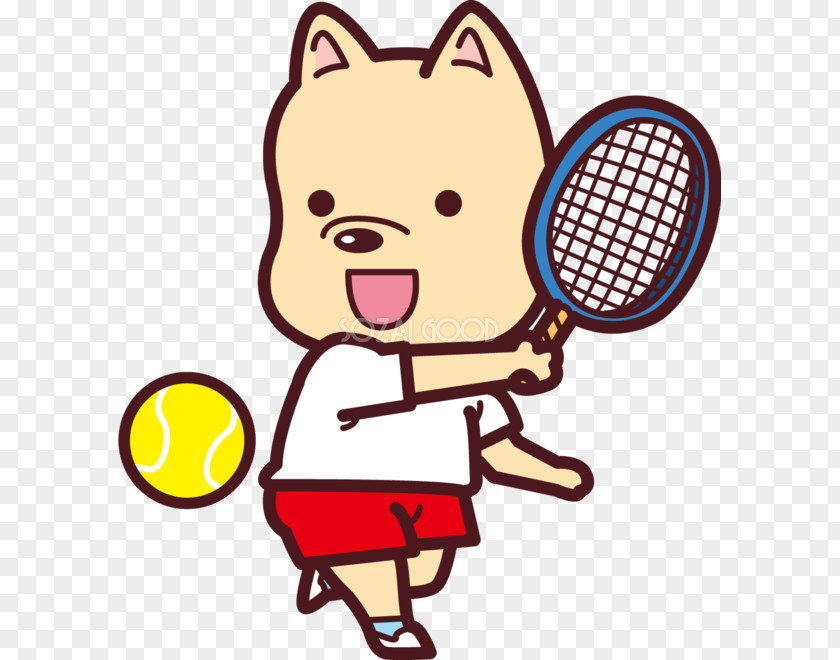 Tennis Racket Ball Sports Clip Art PNG