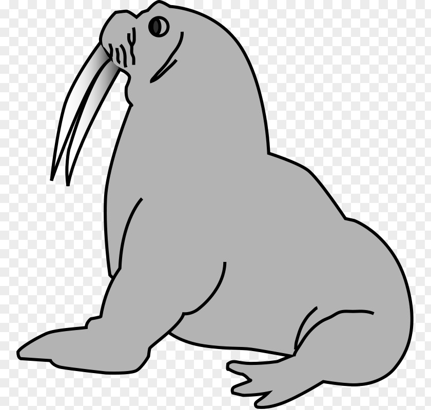 Walrus Cliparts Pinniped Free Clip Art PNG