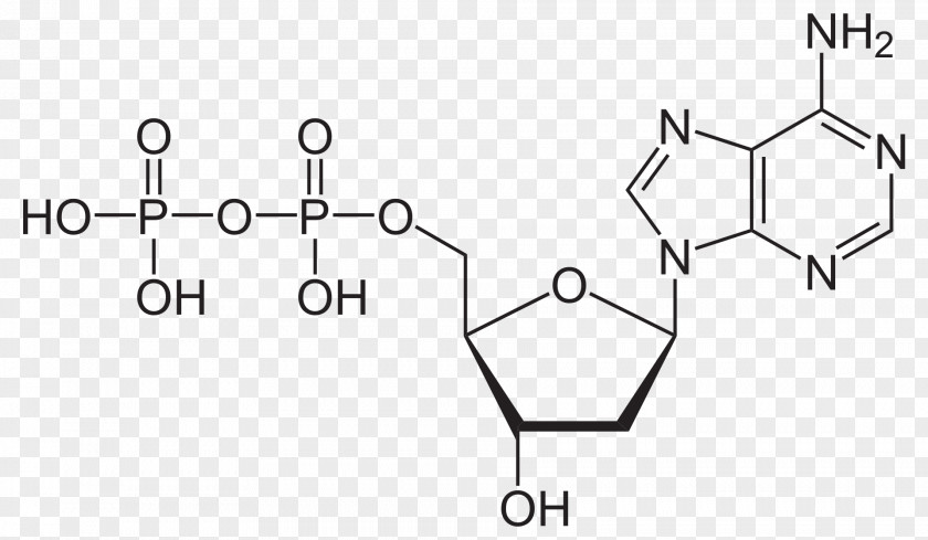 1deoxydxylulose 5phosphate Adenosine Diphosphate Triphosphate Molecule Pyrophosphate PNG