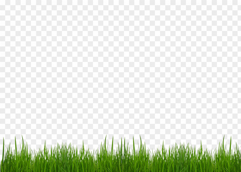 Grass Strips PNG strips clipart PNG