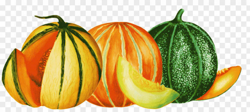 Orange PNG