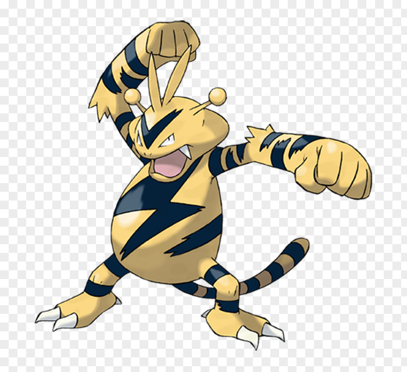 Teddiursa Pokémon X And Y GO Adventures Electabuzz PNG