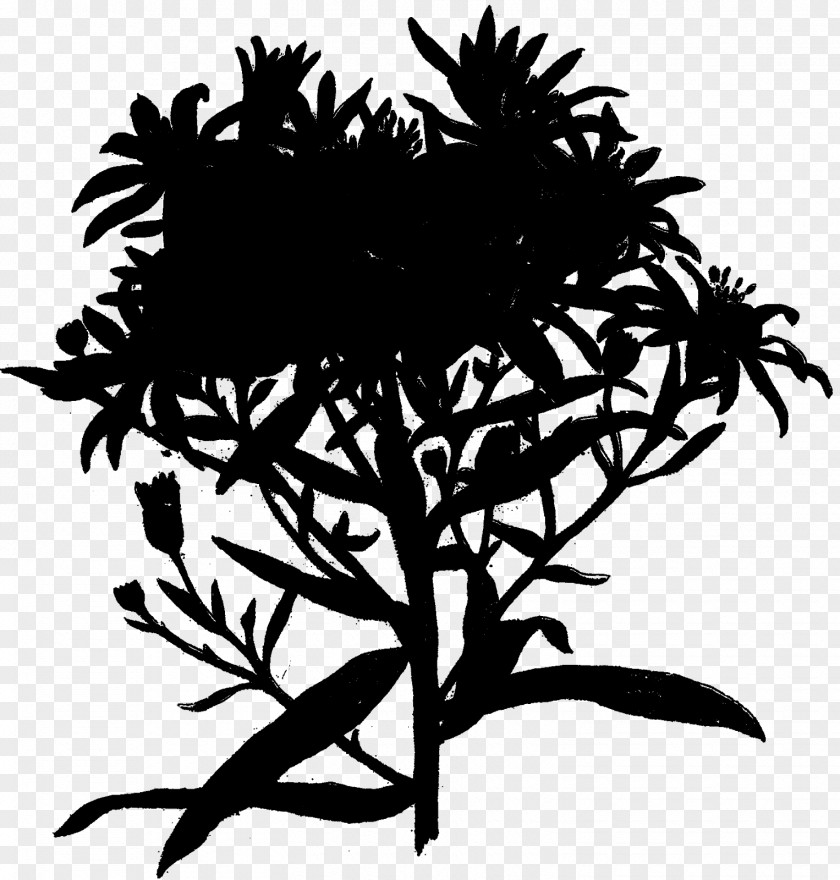 Twig Plant Stem Flower Leaf Clip Art PNG