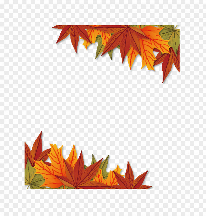 Beautiful Autumn Leaves Euclidean Vector Download PNG