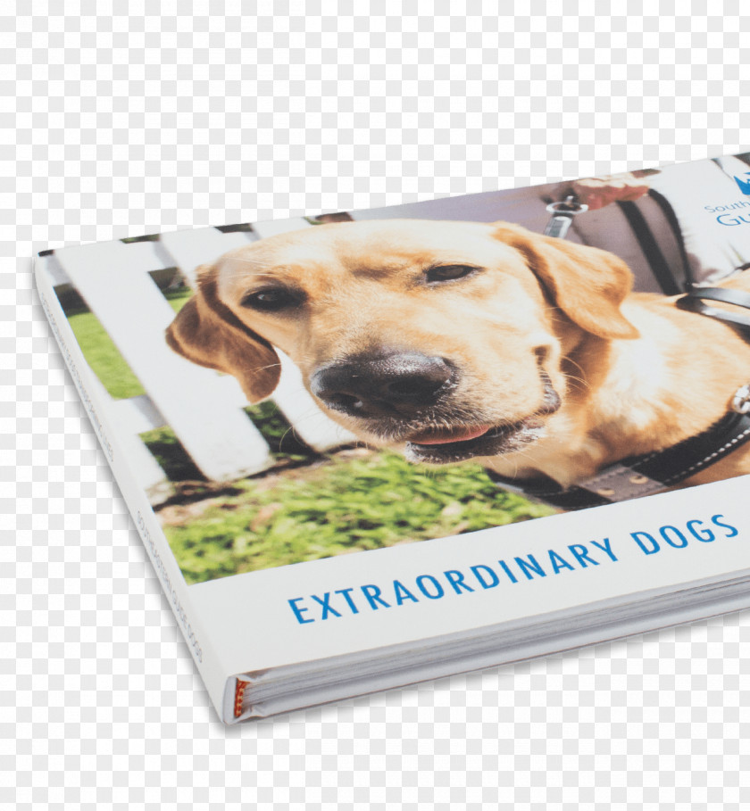 Book Coffee Table Printing Photo-book PNG