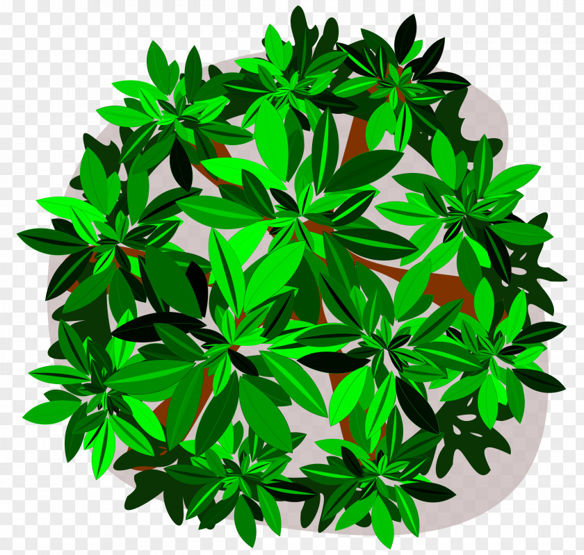 Cassava Tree Leaf Clip Art PNG