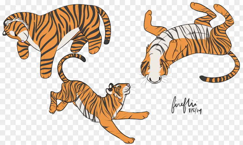 Cat Tiger Terrestrial Animal Wildlife PNG