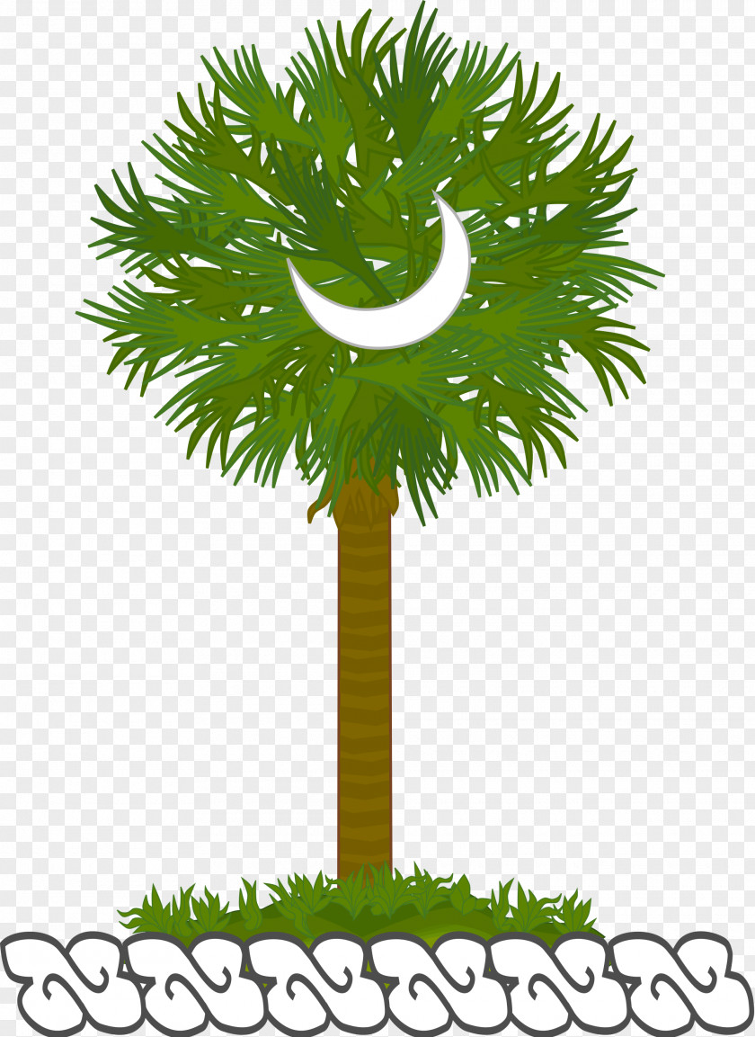 Date Palm Asian Palmyra Leaf Flowerpot PNG