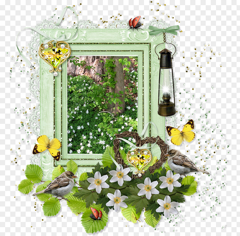 Design Floral Flowering Plant Picture Frames PNG