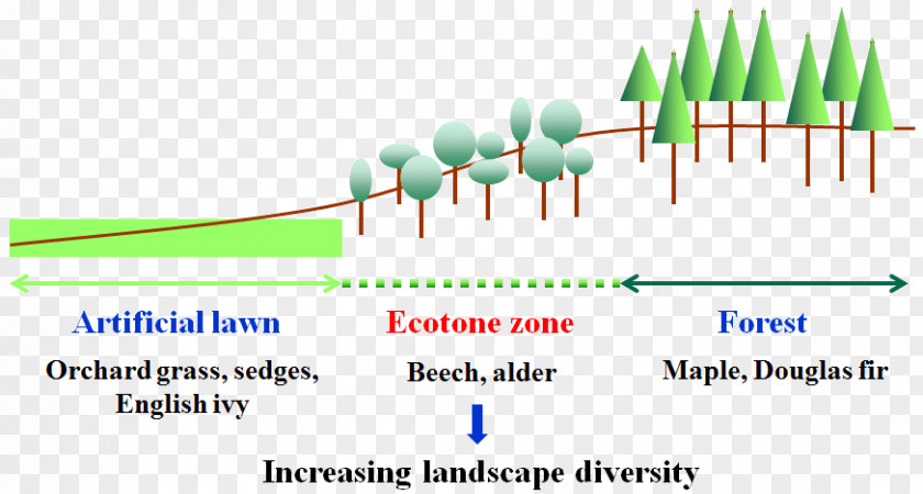 Ecological Information Ecotone Population Ecology Ecosystem Biology PNG