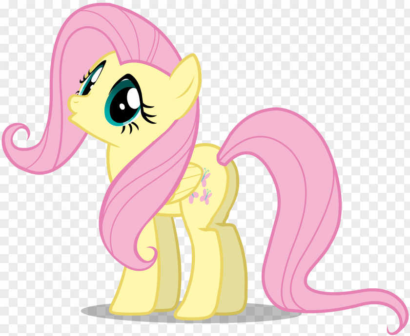Fluttershy Pony Rainbow Dash Rarity Princess Cadance PNG