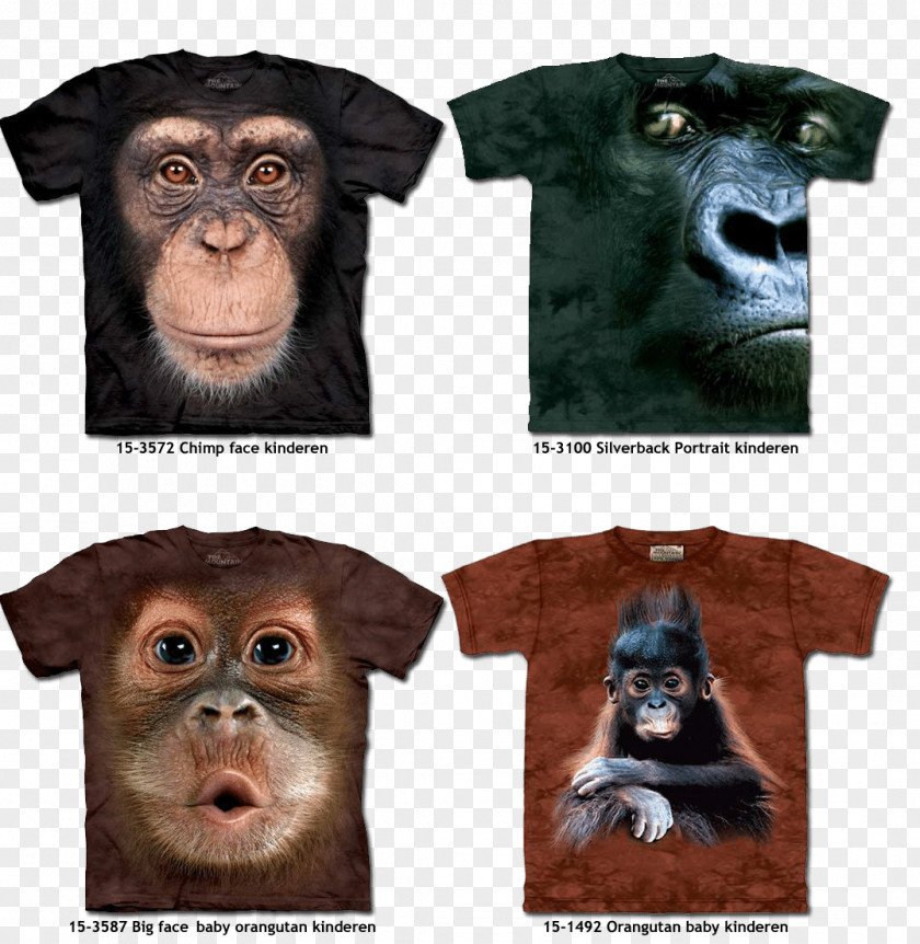 T-shirt Orangutan Clothing Top PNG