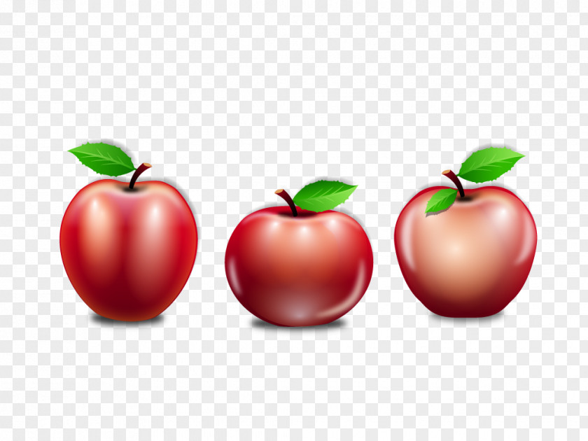 Vector Elements Painted Red Apples Apple Euclidean Barbados Cherry PNG