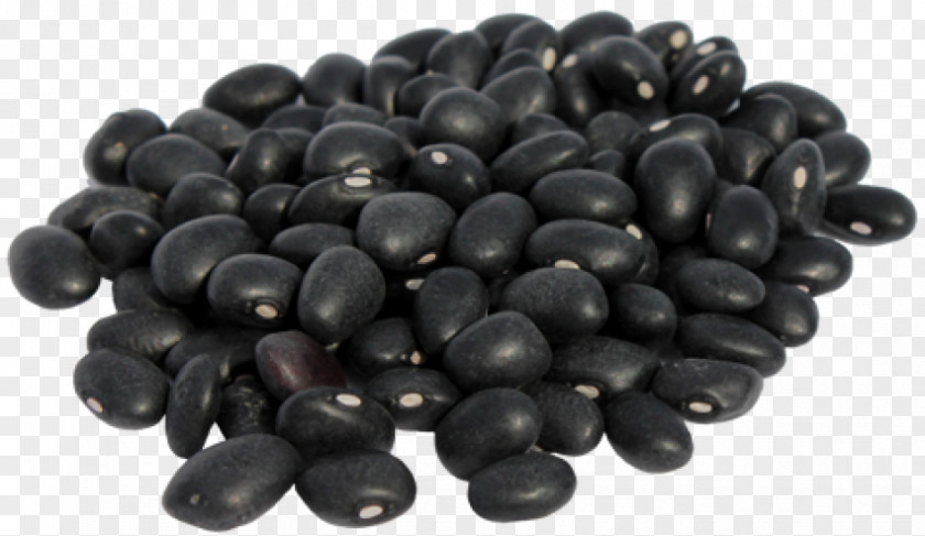 Black Bean Turtle Food Lentil PNG