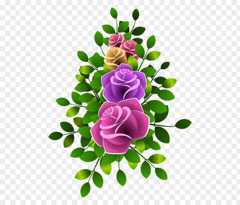 Cartoon Floral Decoration Pattern Garden Roses Centifolia Flower Design Petal PNG