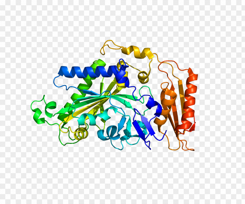 FARS2 Protein Transfer RNA Gene TRIM27 PNG