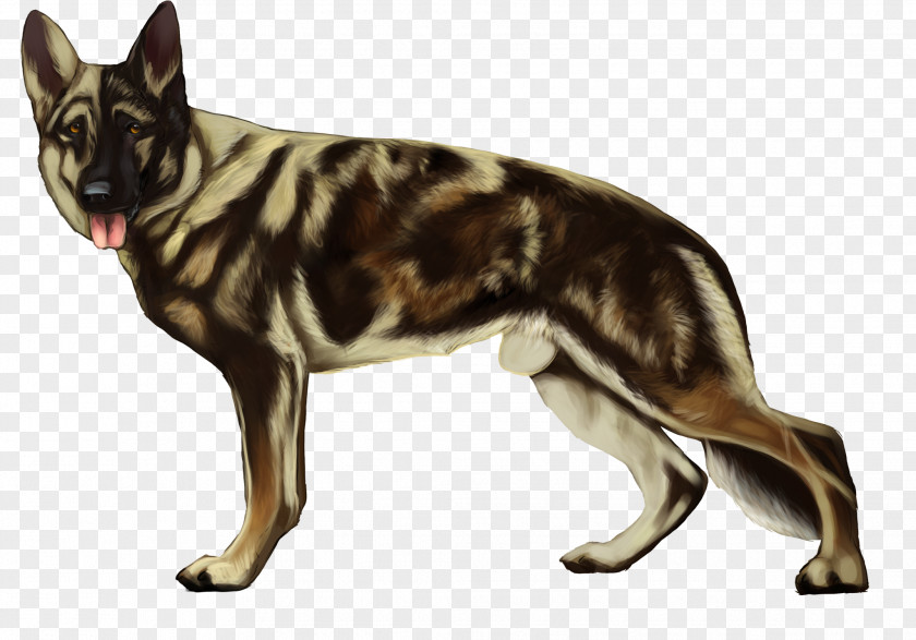 German Military Rings Shepherd Dog Breed Kunming Wolfdog Drawing Digital Art PNG