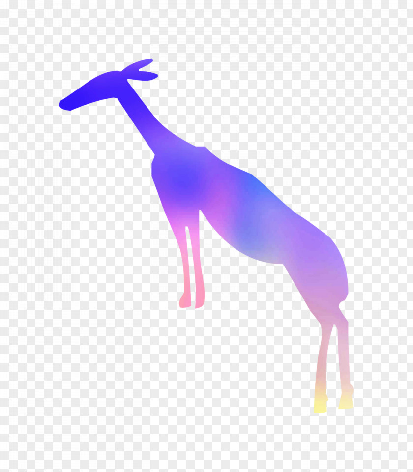 Giraffe Purple PNG