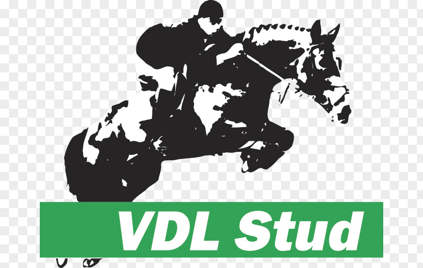 Horse VDL Stud Leeuwarden Groep Bearsterdyk PNG
