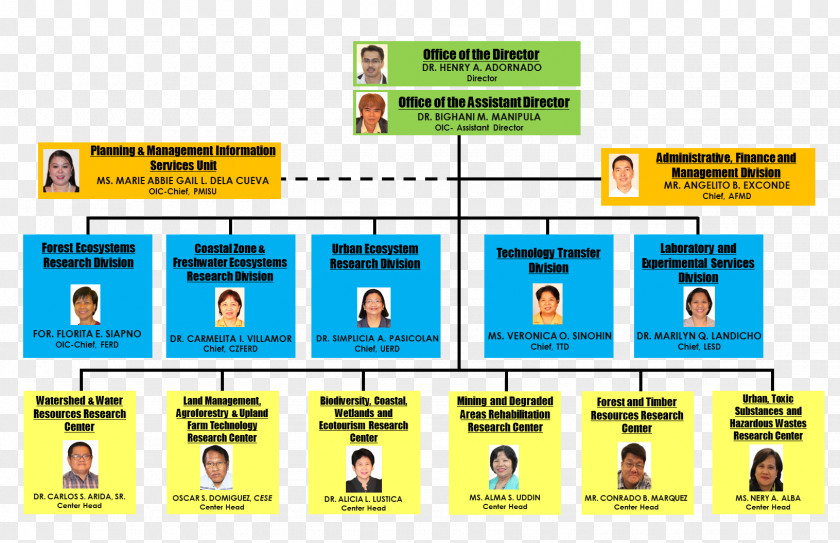 Organization Organizational Chart Structure Business PNG