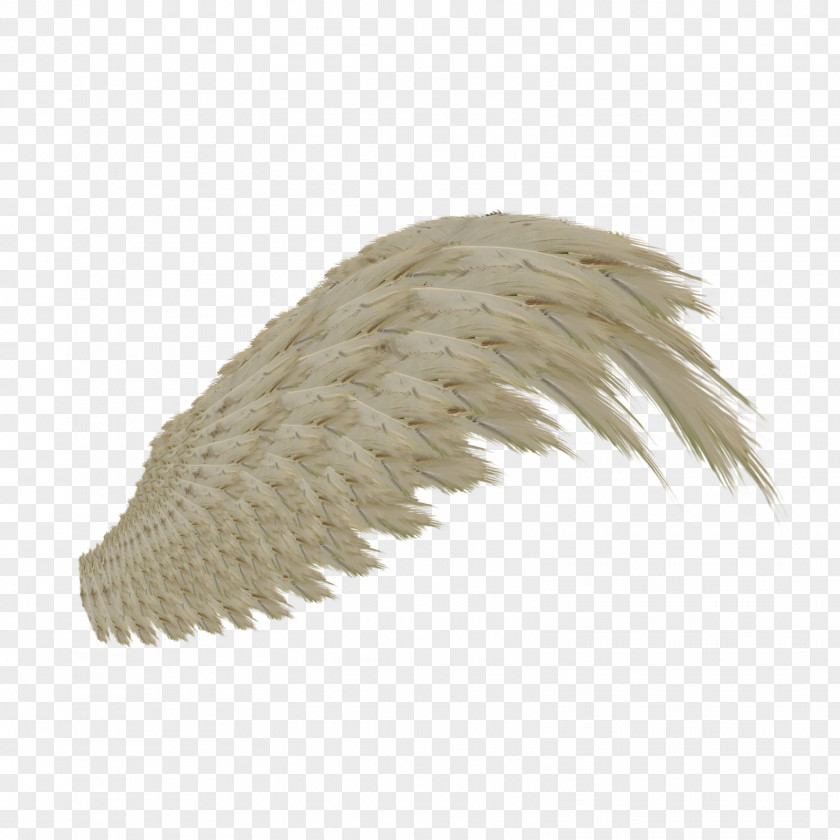 Feather Wings DeviantArt NASDAQ:WING Artist Stock Photography PNG