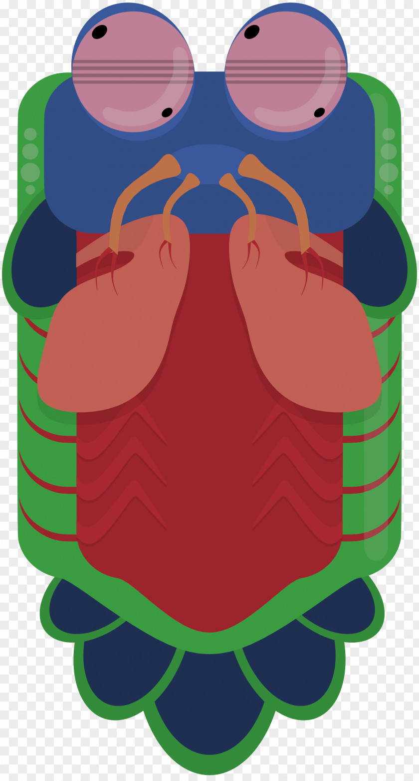 Mantis Shrimp Concept Art Nautilidae PNG