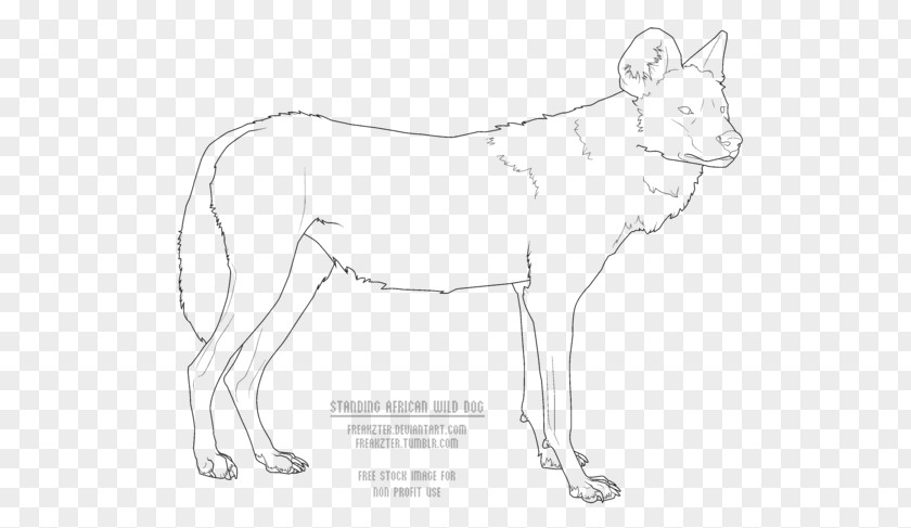 Wild Dog Breed African Line Art Drawing PNG
